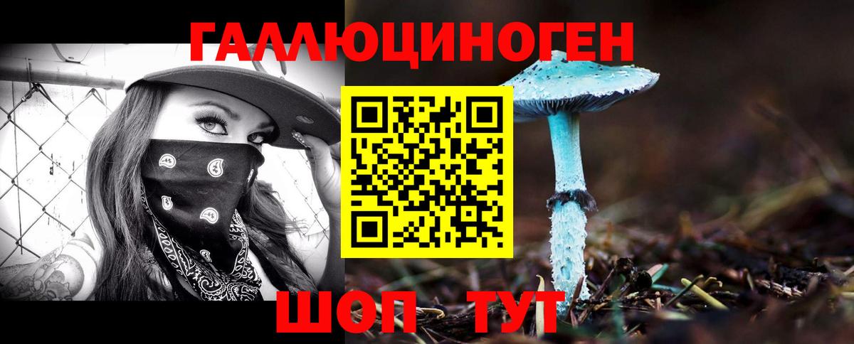 Александров  Псилоцибиновые грибы ЛСД  Вход с VPN 
