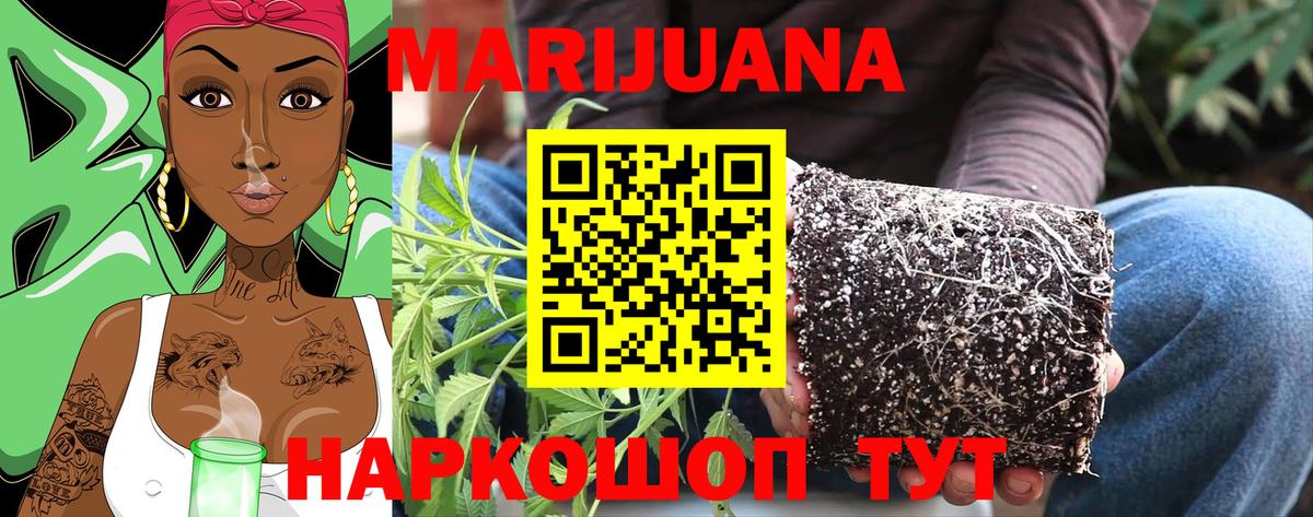 Александров  Бошки Шишки ГИДРОПОН  Вход с VPN  Бошки марихуана LSD WEED 